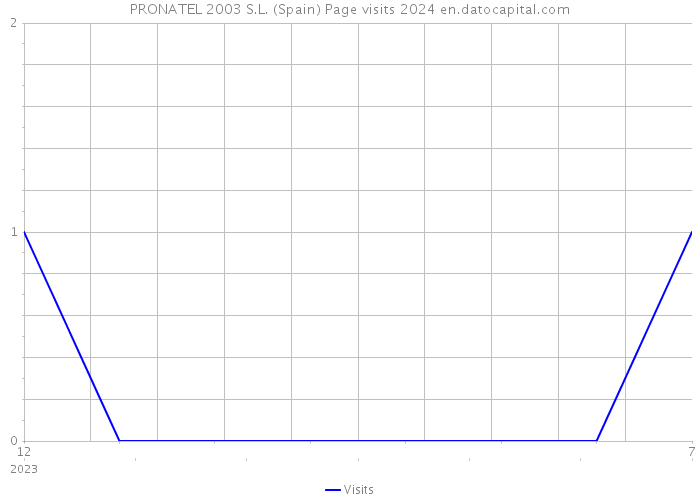 PRONATEL 2003 S.L. (Spain) Page visits 2024 