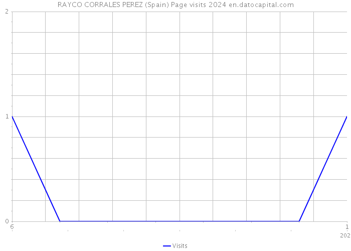 RAYCO CORRALES PEREZ (Spain) Page visits 2024 