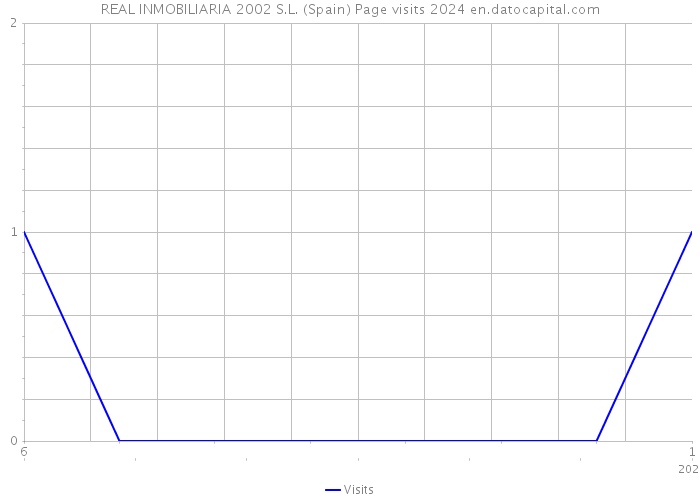 REAL INMOBILIARIA 2002 S.L. (Spain) Page visits 2024 