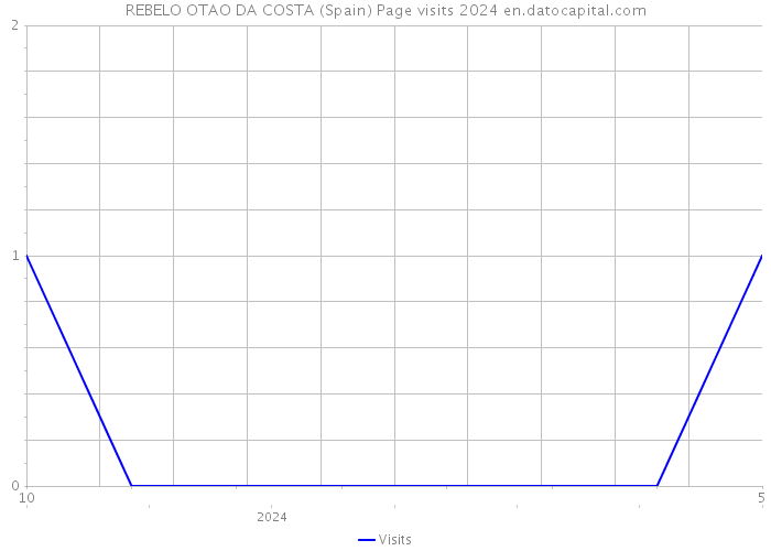 REBELO OTAO DA COSTA (Spain) Page visits 2024 