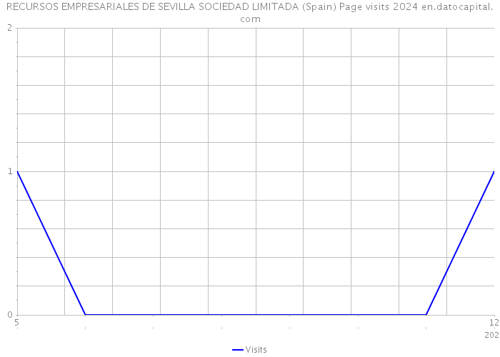RECURSOS EMPRESARIALES DE SEVILLA SOCIEDAD LIMITADA (Spain) Page visits 2024 