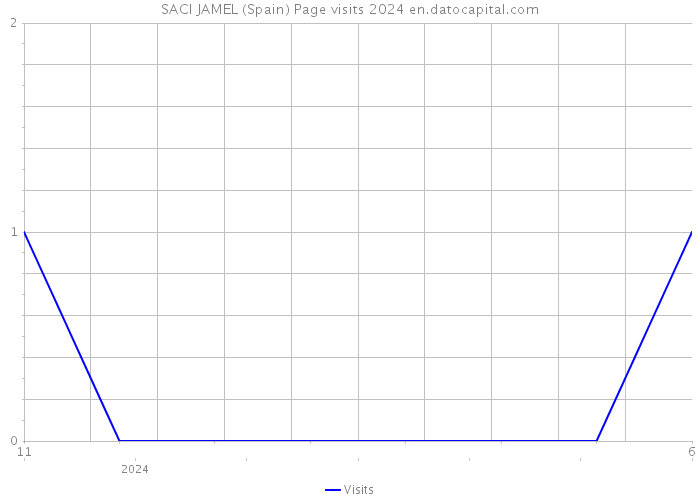 SACI JAMEL (Spain) Page visits 2024 