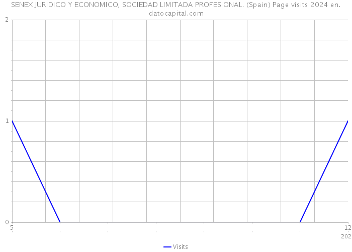 SENEX JURIDICO Y ECONOMICO, SOCIEDAD LIMITADA PROFESIONAL. (Spain) Page visits 2024 