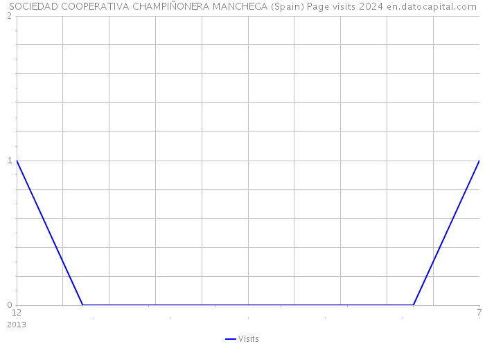 SOCIEDAD COOPERATIVA CHAMPIÑONERA MANCHEGA (Spain) Page visits 2024 