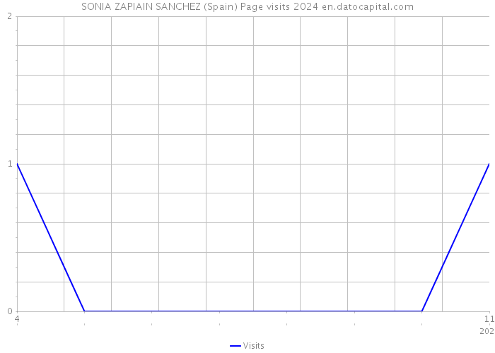 SONIA ZAPIAIN SANCHEZ (Spain) Page visits 2024 