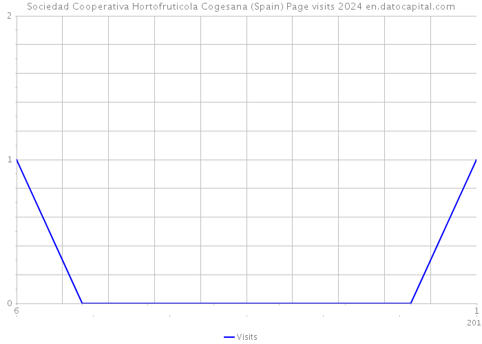 Sociedad Cooperativa Hortofruticola Cogesana (Spain) Page visits 2024 