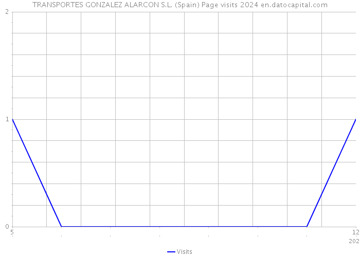 TRANSPORTES GONZALEZ ALARCON S.L. (Spain) Page visits 2024 