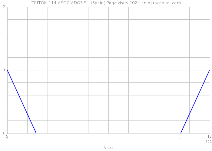 TRITON 114 ASOCIADOS S.L (Spain) Page visits 2024 