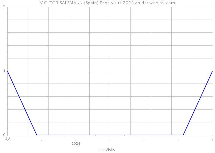 VIC-TOR SALZMANN (Spain) Page visits 2024 