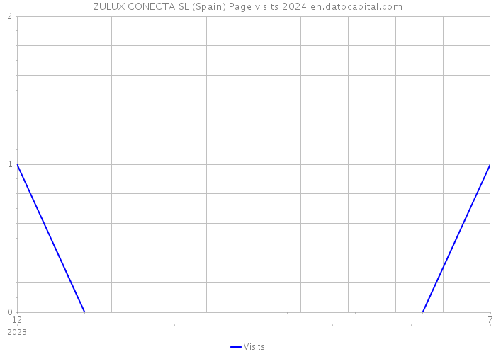 ZULUX CONECTA SL (Spain) Page visits 2024 