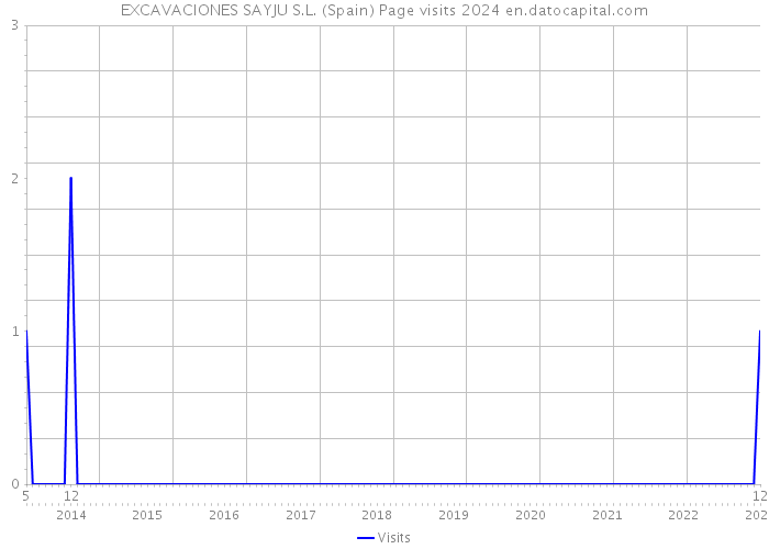 EXCAVACIONES SAYJU S.L. (Spain) Page visits 2024 