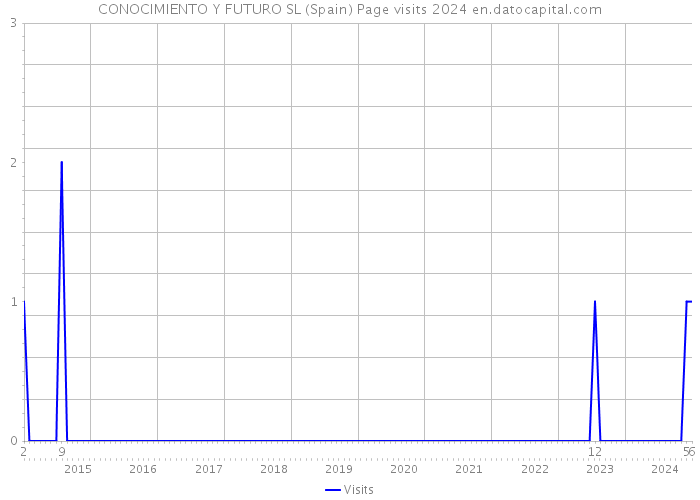 CONOCIMIENTO Y FUTURO SL (Spain) Page visits 2024 