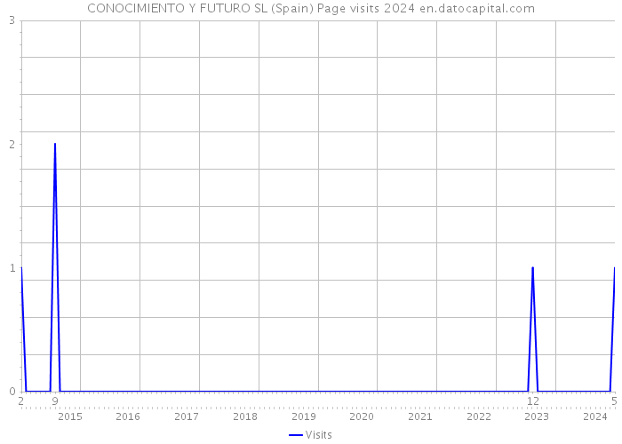 CONOCIMIENTO Y FUTURO SL (Spain) Page visits 2024 