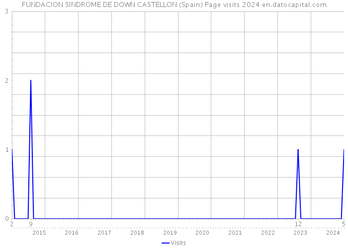 FUNDACION SINDROME DE DOWN CASTELLON (Spain) Page visits 2024 