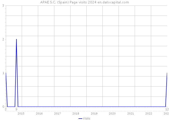 APAE S.C. (Spain) Page visits 2024 