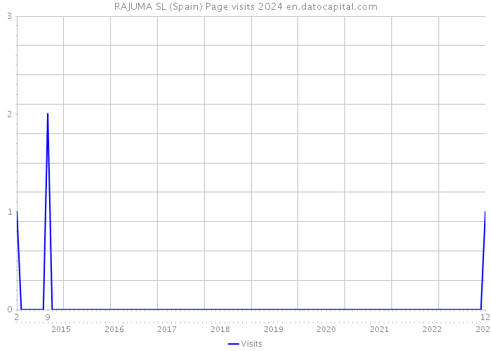 RAJUMA SL (Spain) Page visits 2024 