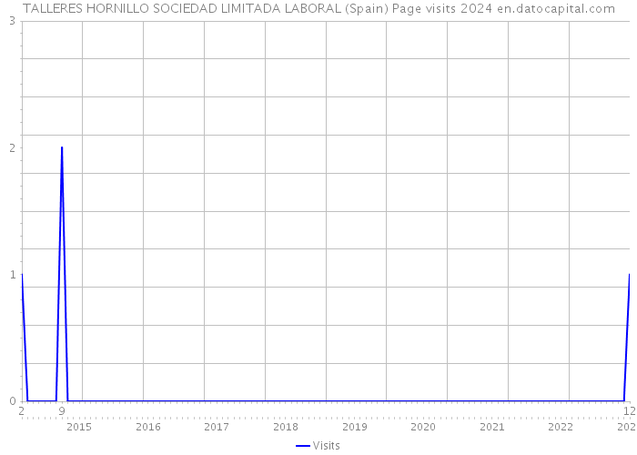 TALLERES HORNILLO SOCIEDAD LIMITADA LABORAL (Spain) Page visits 2024 