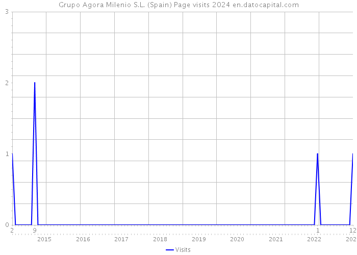 Grupo Agora Milenio S.L. (Spain) Page visits 2024 