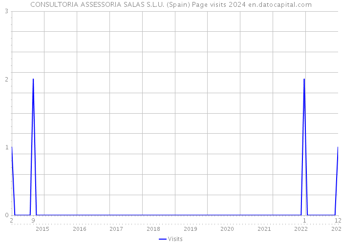 CONSULTORIA ASSESSORIA SALAS S.L.U. (Spain) Page visits 2024 