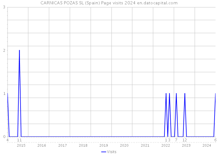 CARNICAS POZAS SL (Spain) Page visits 2024 