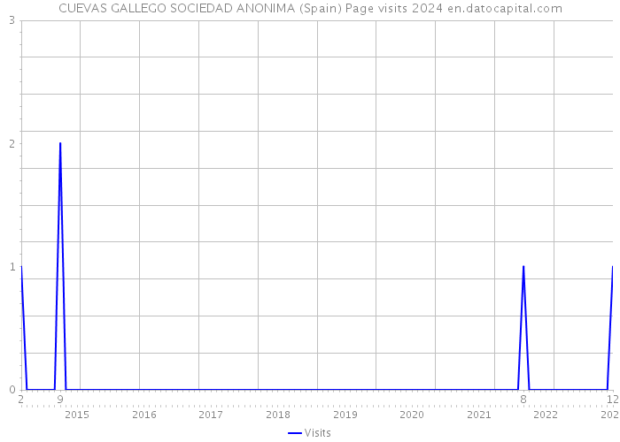 CUEVAS GALLEGO SOCIEDAD ANONIMA (Spain) Page visits 2024 