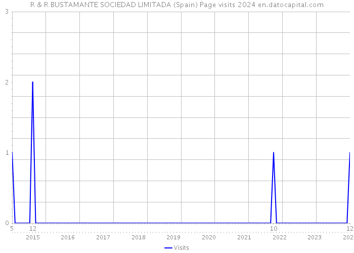 R & R BUSTAMANTE SOCIEDAD LIMITADA (Spain) Page visits 2024 