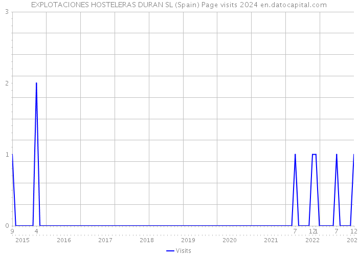 EXPLOTACIONES HOSTELERAS DURAN SL (Spain) Page visits 2024 