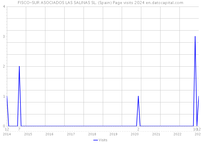FISCO-SUR ASOCIADOS LAS SALINAS SL. (Spain) Page visits 2024 