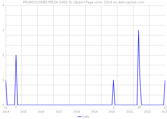 PROMOCIONES PELSA 3000 SL (Spain) Page visits 2024 