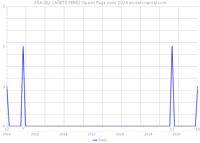 ARACELI CAÑETE PEREZ (Spain) Page visits 2024 
