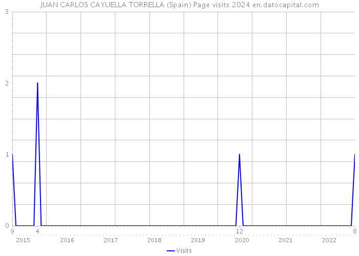 JUAN CARLOS CAYUELLA TORRELLA (Spain) Page visits 2024 