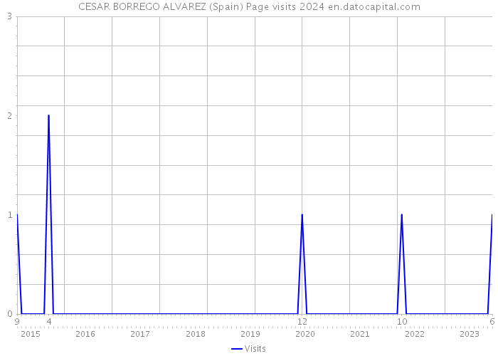 CESAR BORREGO ALVAREZ (Spain) Page visits 2024 