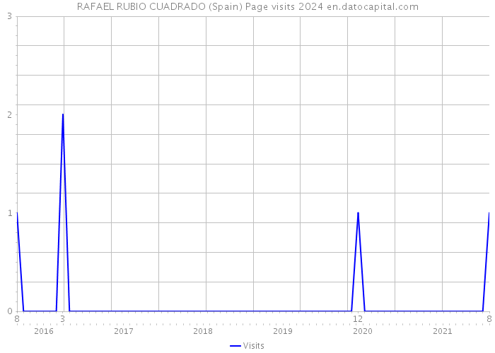 RAFAEL RUBIO CUADRADO (Spain) Page visits 2024 