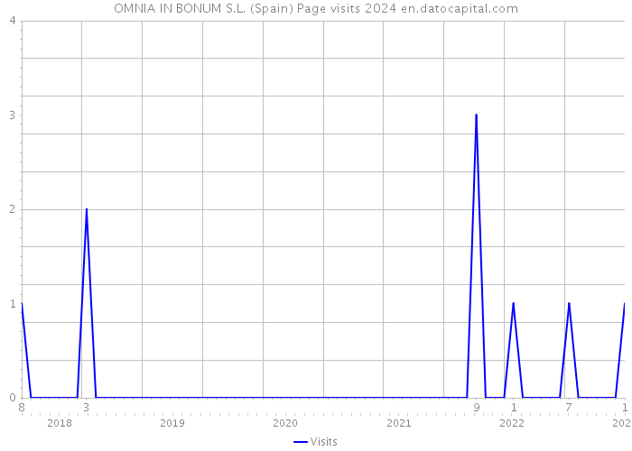 OMNIA IN BONUM S.L. (Spain) Page visits 2024 