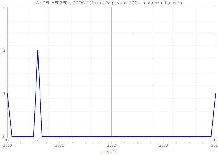 ANGEL HERRERA GODOY (Spain) Page visits 2024 