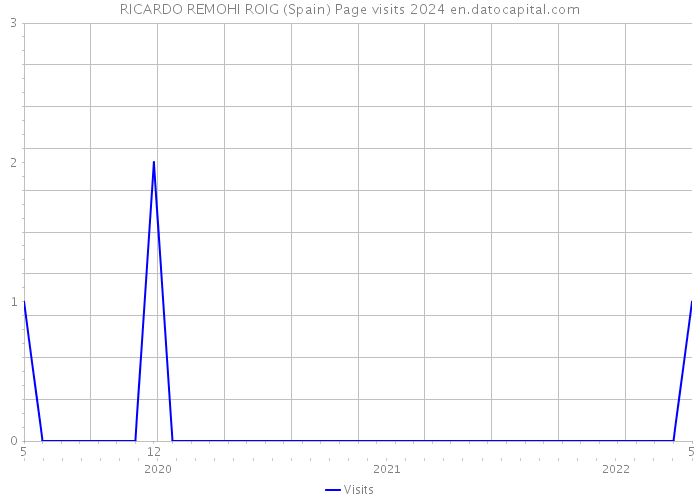 RICARDO REMOHI ROIG (Spain) Page visits 2024 