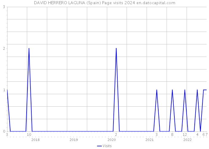 DAVID HERRERO LAGUNA (Spain) Page visits 2024 