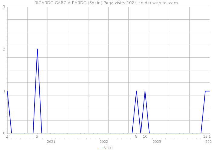 RICARDO GARCIA PARDO (Spain) Page visits 2024 