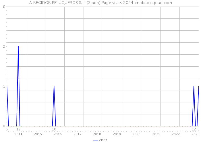 A REGIDOR PELUQUEROS S.L. (Spain) Page visits 2024 