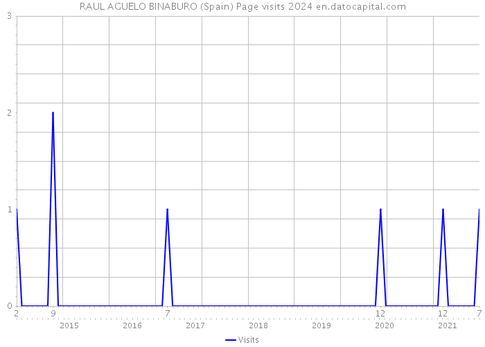 RAUL AGUELO BINABURO (Spain) Page visits 2024 