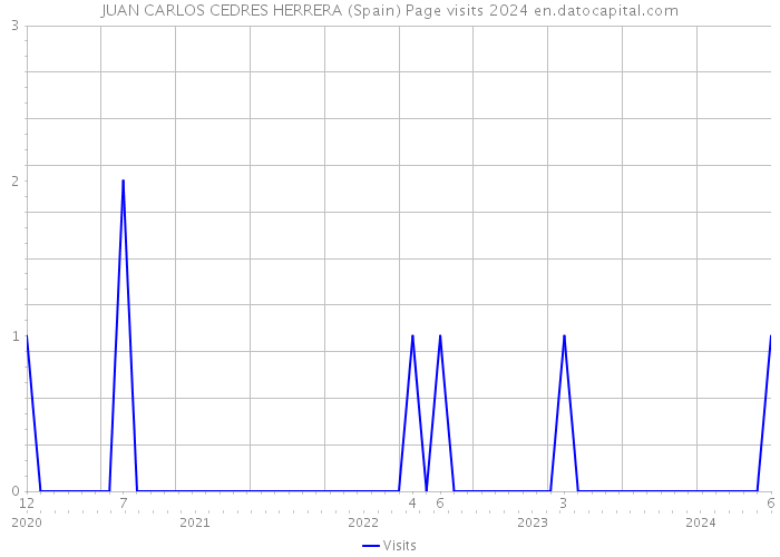 JUAN CARLOS CEDRES HERRERA (Spain) Page visits 2024 