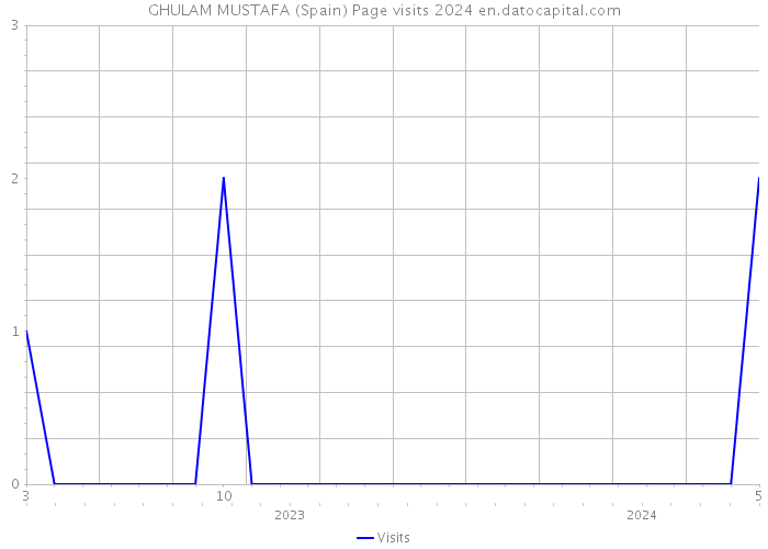 GHULAM MUSTAFA (Spain) Page visits 2024 