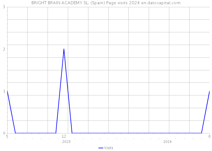 BRIGHT BRAIN ACADEMY SL. (Spain) Page visits 2024 