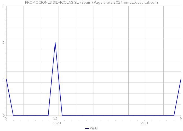 PROMOCIONES SILVICOLAS SL. (Spain) Page visits 2024 