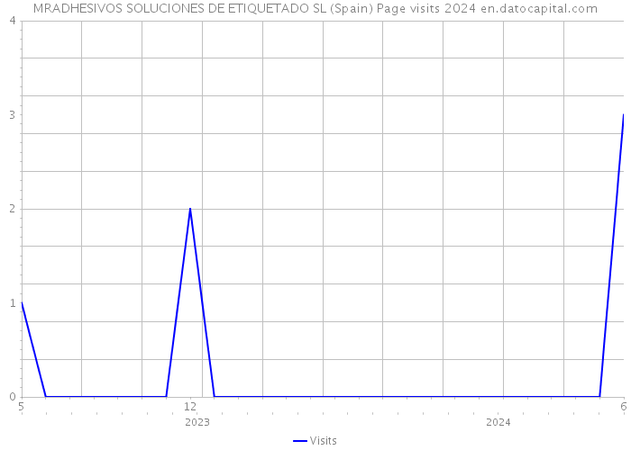 MRADHESIVOS SOLUCIONES DE ETIQUETADO SL (Spain) Page visits 2024 