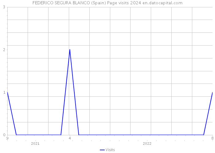 FEDERICO SEGURA BLANCO (Spain) Page visits 2024 