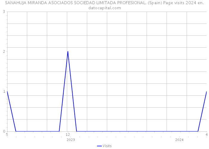 SANAHUJA MIRANDA ASOCIADOS SOCIEDAD LIMITADA PROFESIONAL. (Spain) Page visits 2024 