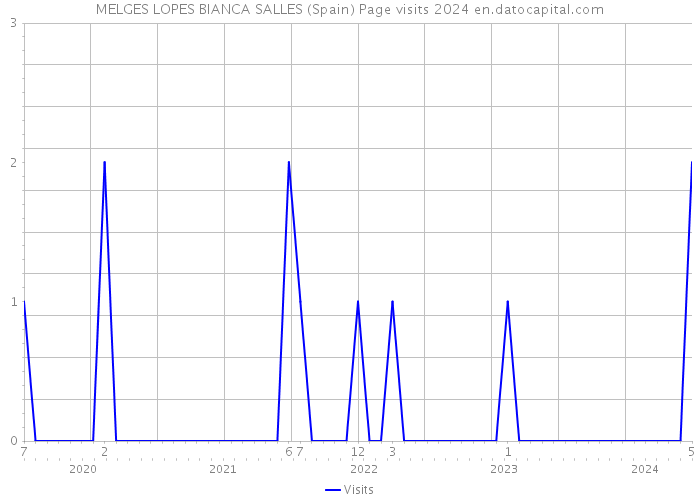 MELGES LOPES BIANCA SALLES (Spain) Page visits 2024 