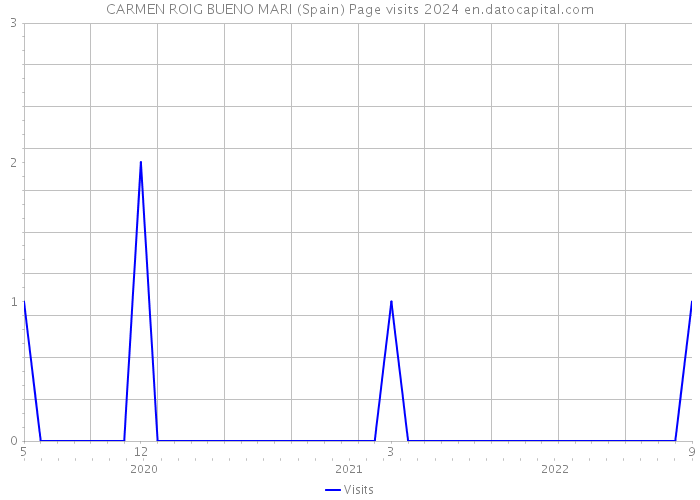 CARMEN ROIG BUENO MARI (Spain) Page visits 2024 