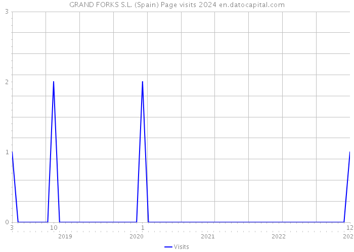GRAND FORKS S.L. (Spain) Page visits 2024 